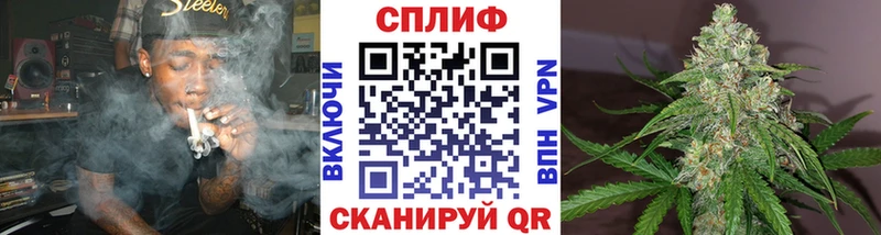 Каннабис OG Kush  где найти   Почеп 